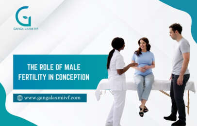 Male Fertility in Conception