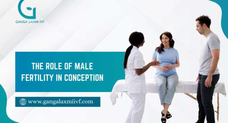 Male Fertility in Conception