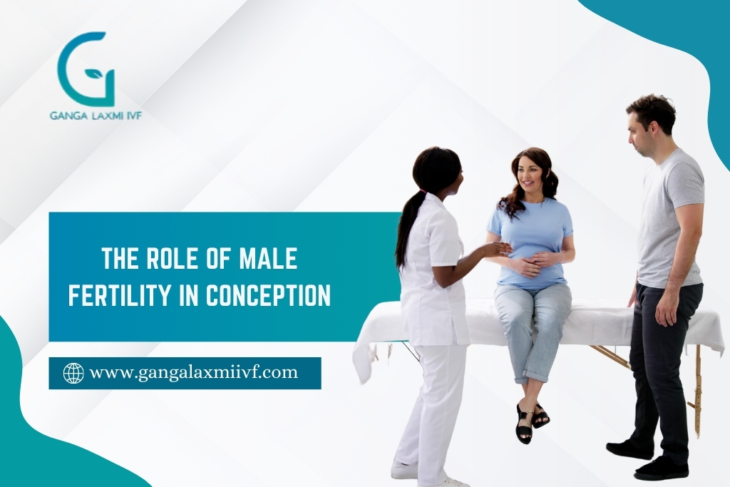 Male Fertility in Conception